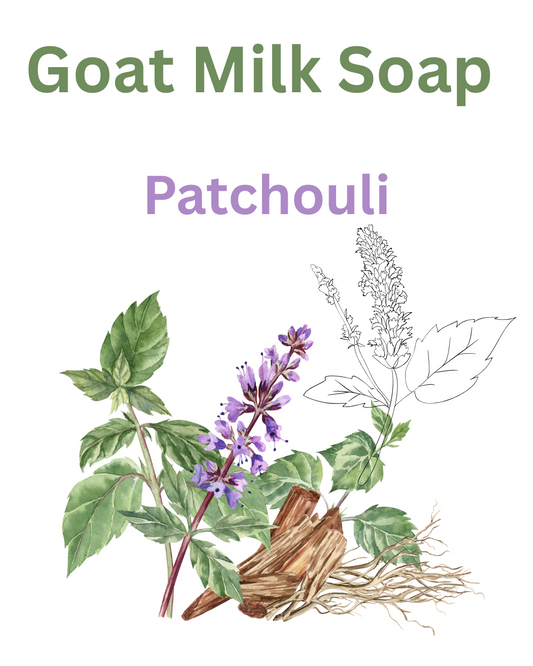 Patchouli