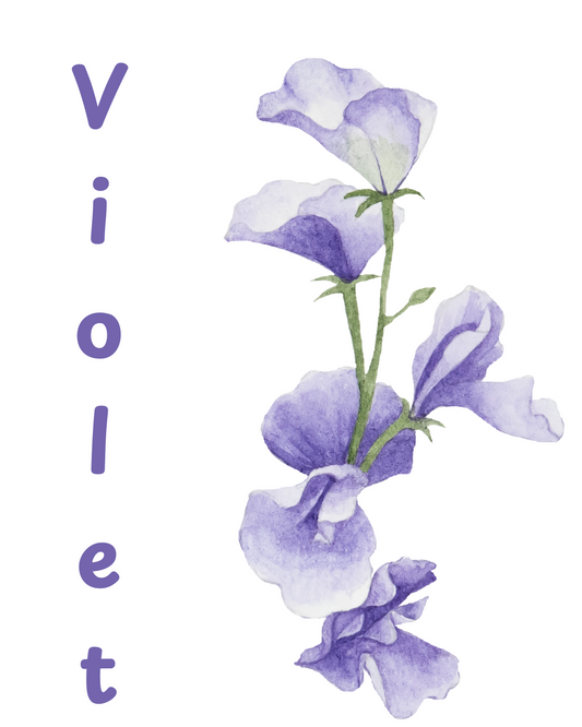Violet