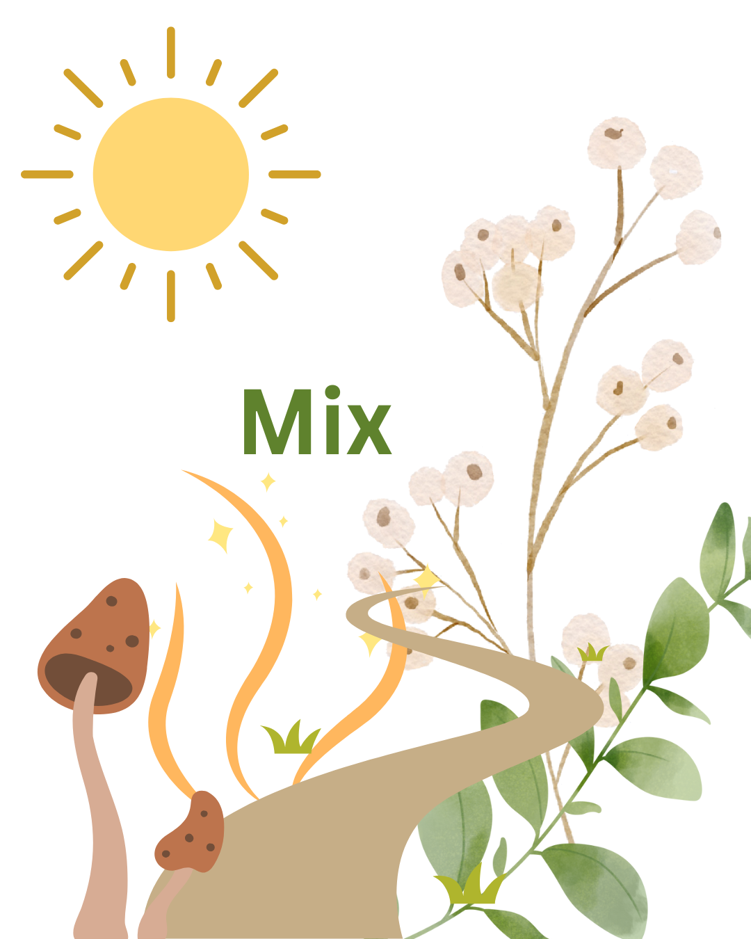 3 Soap of the Month - Mix