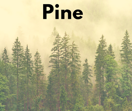 Pine