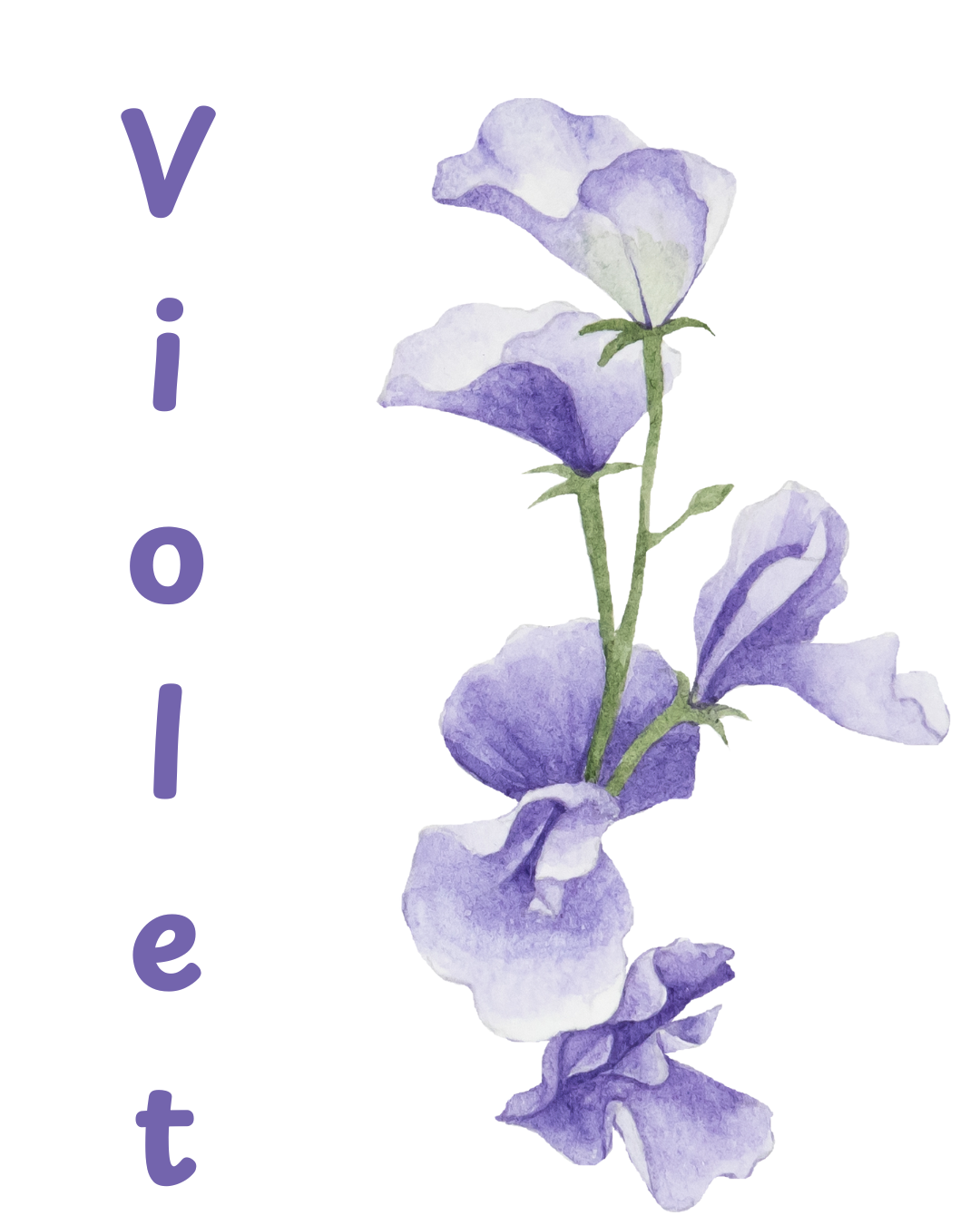 Violet